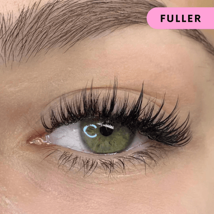 MagnaGlam Lashes - lushora